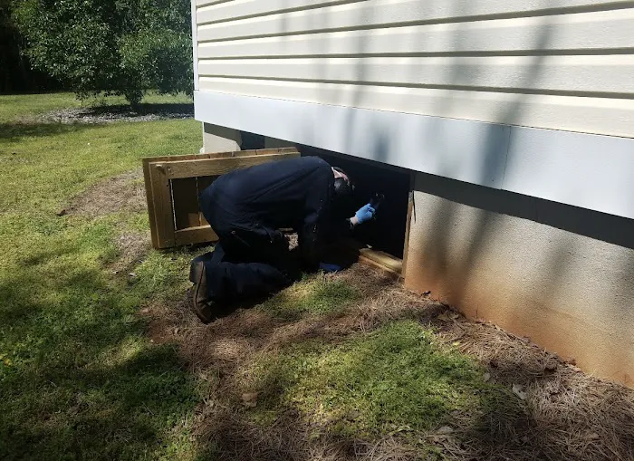 Go-Forth Pest Control Picture 10