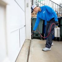 Pest Authority of Hickory ico