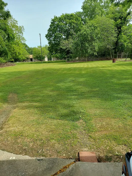 Mosquito & Pest Authority of Hickory Picture 5