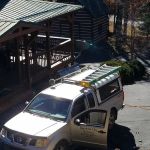 Mountain City Pest Control