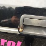 Donna's Pest Control