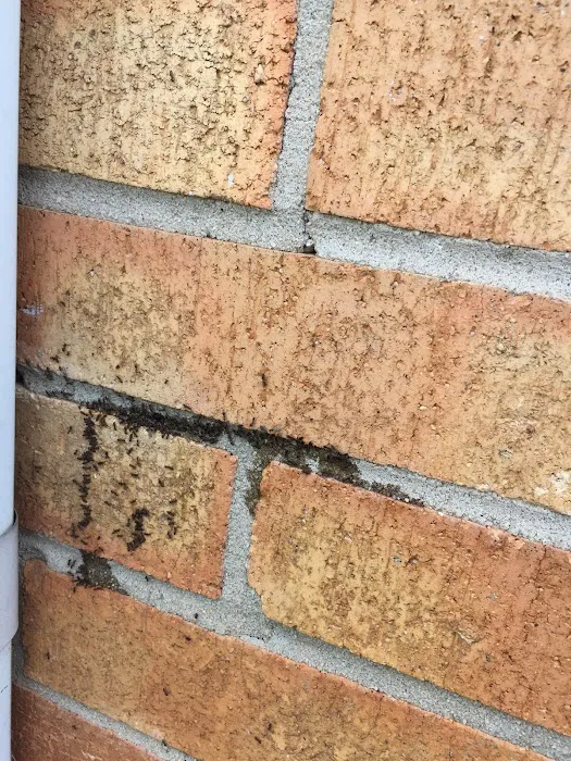 Donna's Pest Control Picture 9
