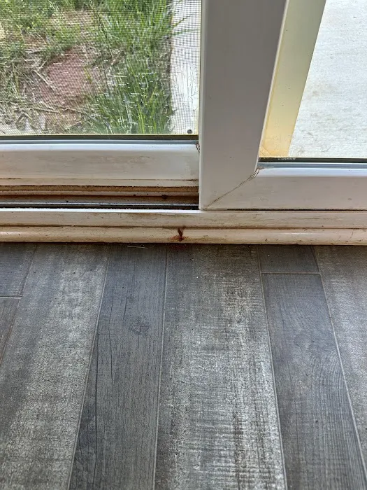 A+ Termite & Pest Control Picture 1