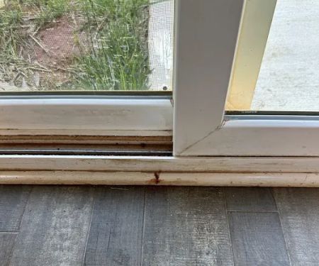 A+ Termite & Pest Control