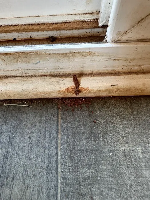 A+ Termite & Pest Control Picture 5