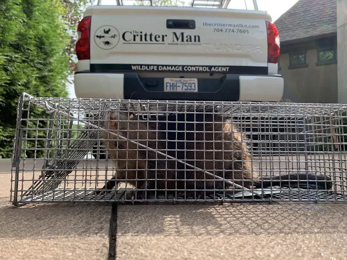 The Critter Man Picture 2