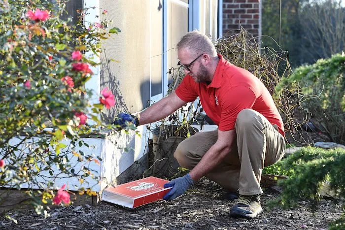 City Wide Exterminating Picture 10