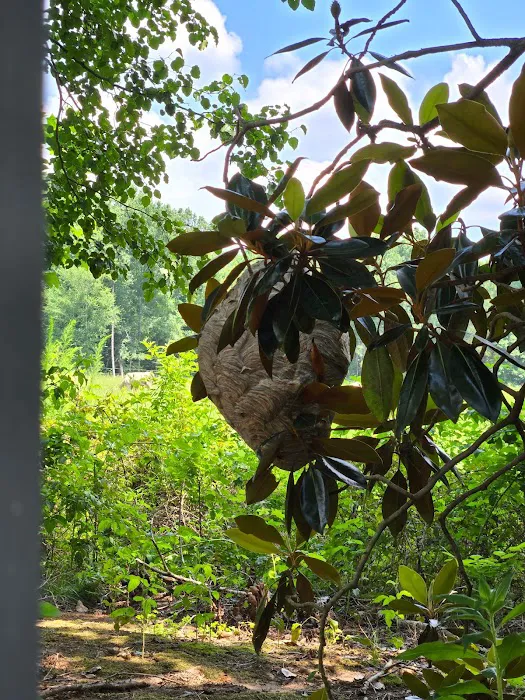 Lake Norman Pest Control Picture 3