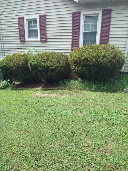 A-1 Pest Control Picture 3
