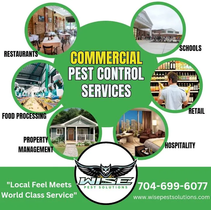 Wise Pest Solutions Picture 8