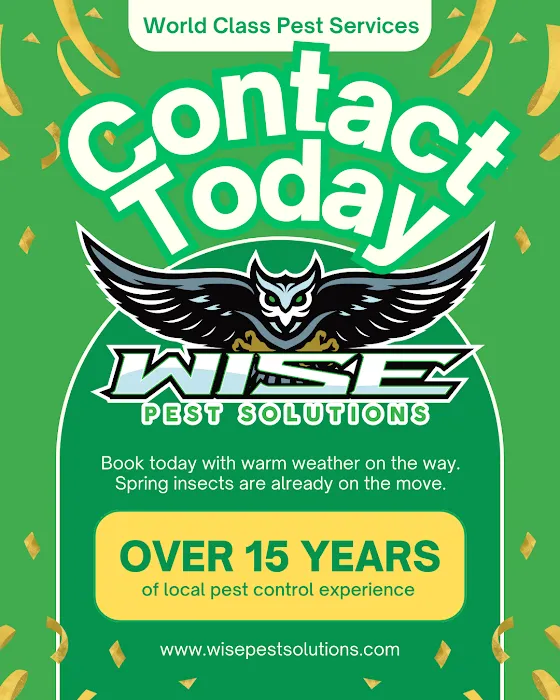 Wise Pest Solutions Picture 4