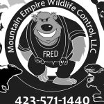 Mountain Empire Wildlife & Pest Control