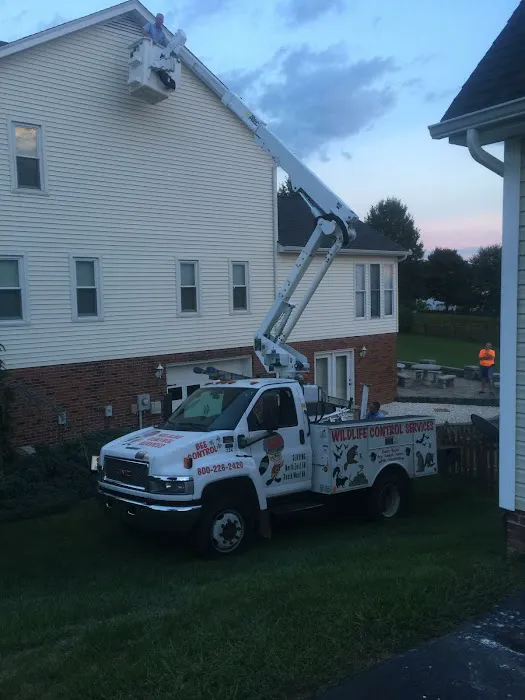 Mountain Empire Wildlife & Pest Control Picture 2