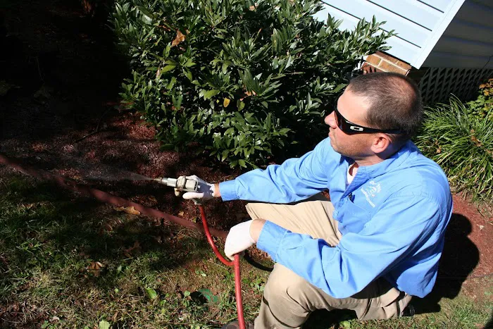 Go-Forth Pest Control Picture 4