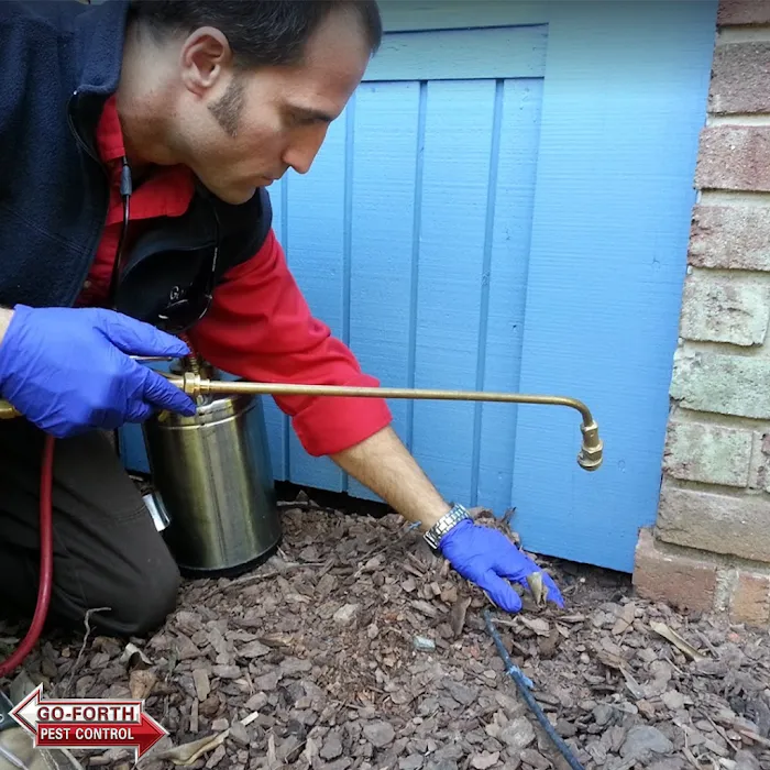 Go-Forth Pest Control Picture 2