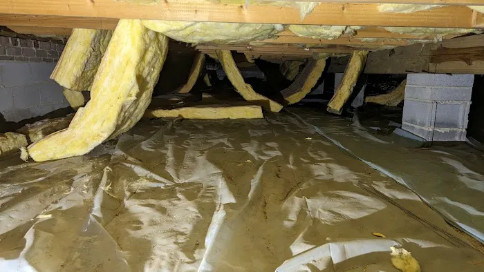 Truly Nolen Pest & Termite Control Picture 8
