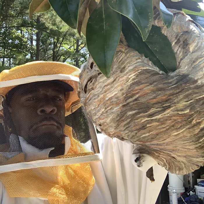 Clegg’s Termite & Pest Control - Morehead City Picture 10