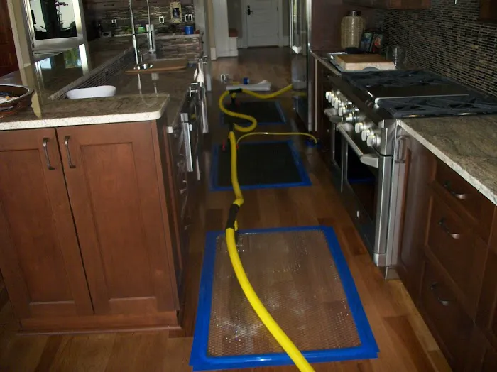 Pro Environmental Restoration & Services Picture 2