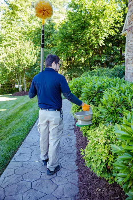 Pest & Termite Consultants Picture 3