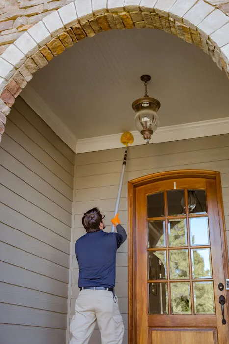 Pest & Termite Consultants Picture 1