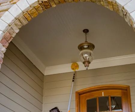 Pest & Termite Consultants
