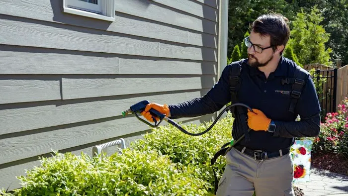 Pest & Termite Consultants Picture 5