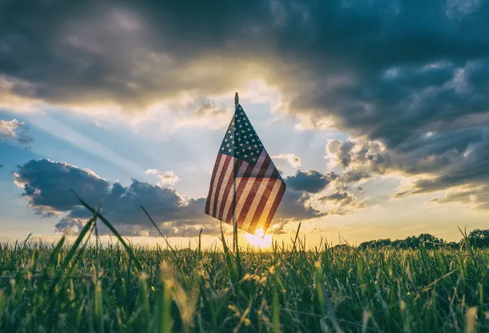 Patriot Pest Control Picture 2