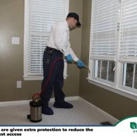 Insight Pest Solutions - Wilmington, NC ico
