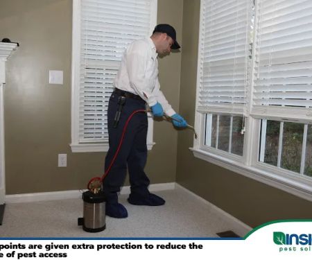 Insight Pest Solutions - Wilmington, NC