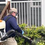 Economy Exterminators