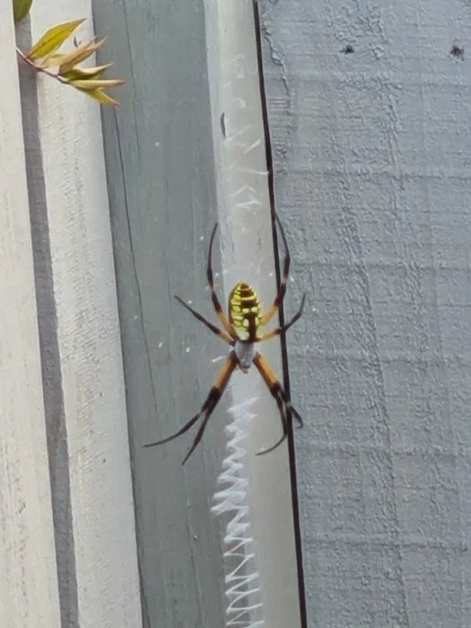 HomeTeam Pest Defense Picture 1