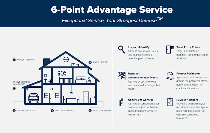 HomeTeam Pest Defense Picture 4