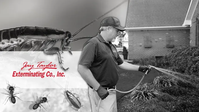 Jay Taylor Exterminating Co., Inc. Picture 3