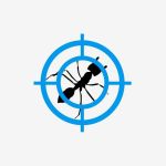 Paragon Pest Management