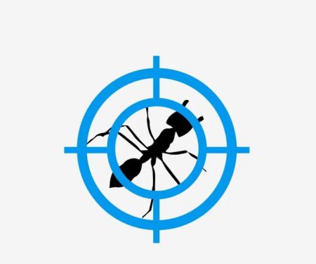 Paragon Pest Management