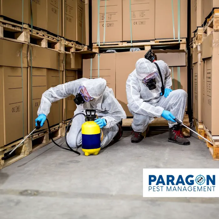 Paragon Pest Management Picture 5