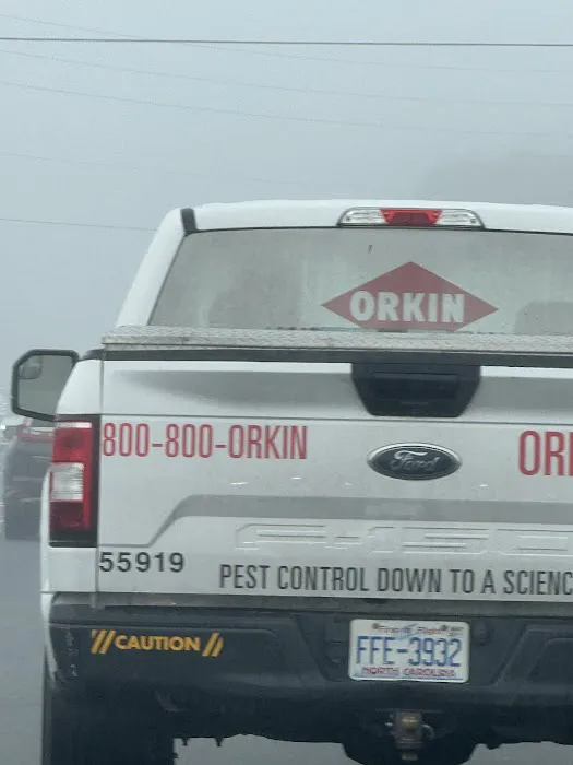Orkin Picture 2
