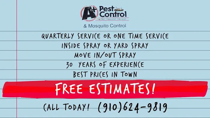 A + pest control Picture 4
