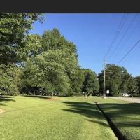 Pittman's Pest Control ico