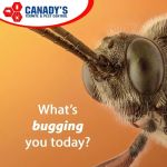 Canady’s Termite & Pest Control