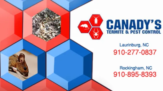 Canady’s Termite & Pest Control Picture 7