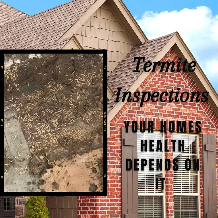 Pest-A-Rest Exterminating Picture 8