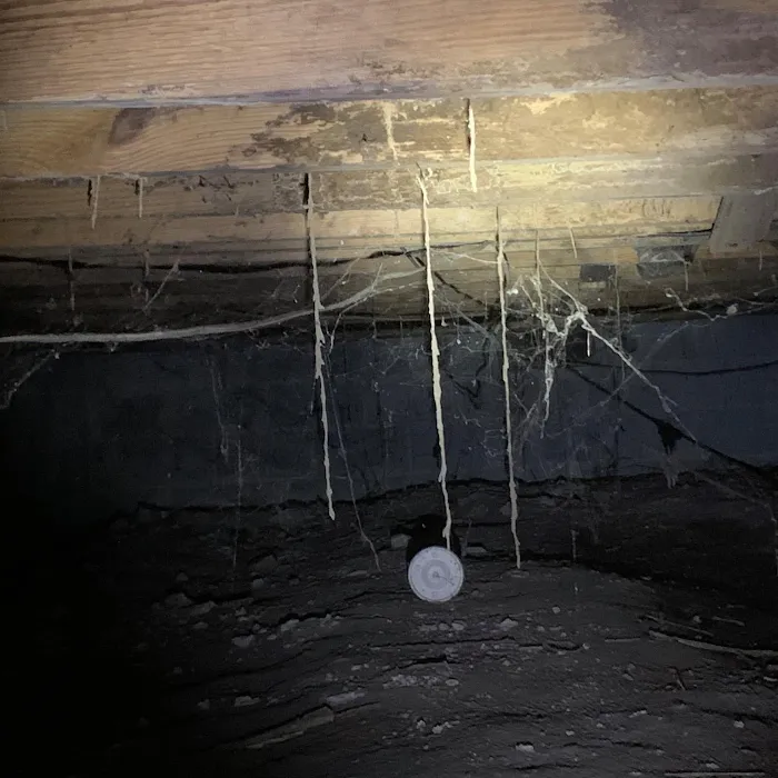 Pest-A-Rest Exterminating Picture 7