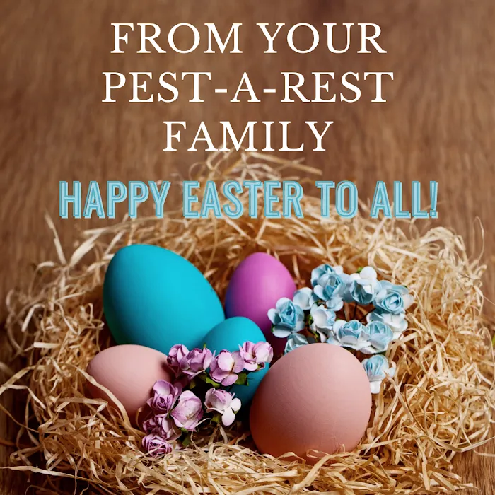 Pest-A-Rest Exterminating Picture 9