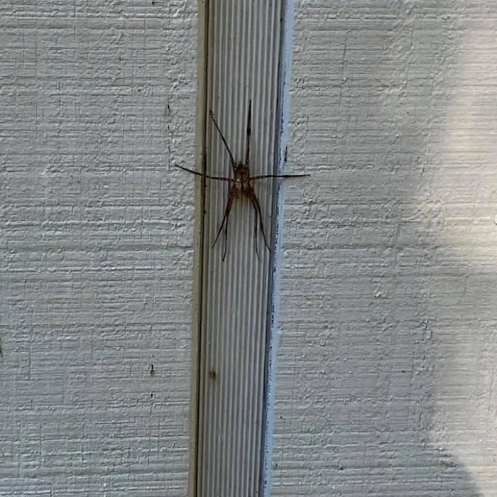 Pest-A-Rest Exterminating Picture 10