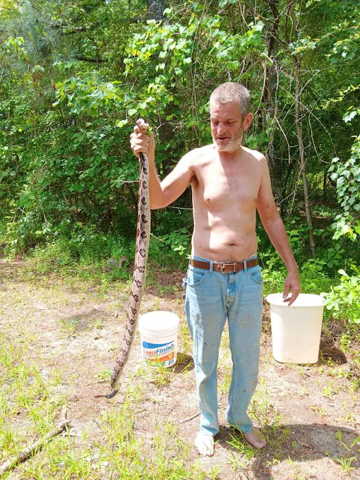 Primeir Exotic animal removal and pest control Picture 2