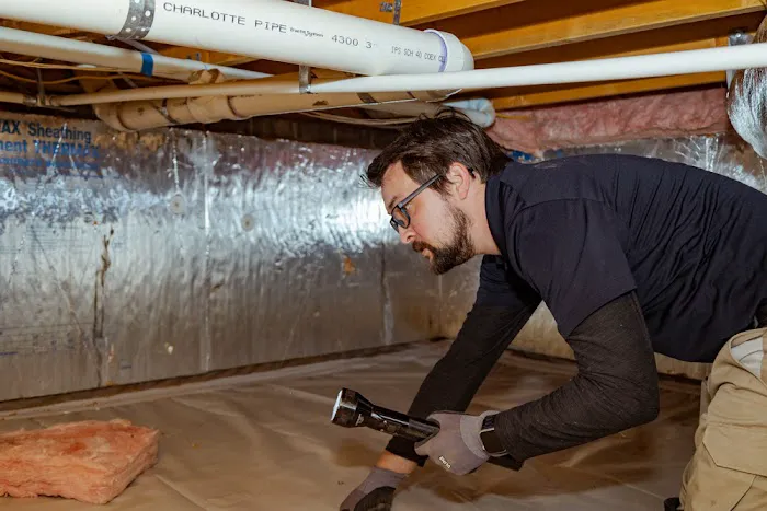 Pest & Termite Consultants Picture 8