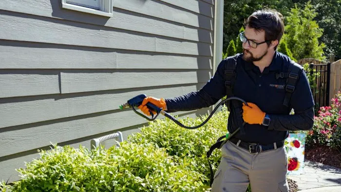 Pest & Termite Consultants Picture 6