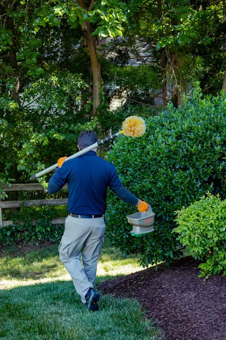 Pest & Termite Consultants Picture 5