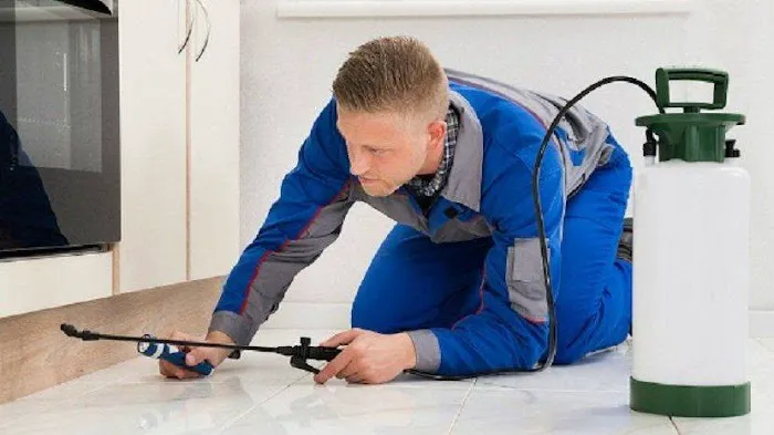 Wilkey Services Pest Management Picture 1